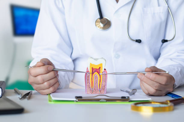 Best Emergency Dental Care for Broken or Chipped Teeth in Throop, PA